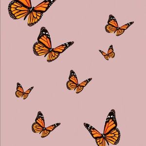 Meet your Posher, Jill